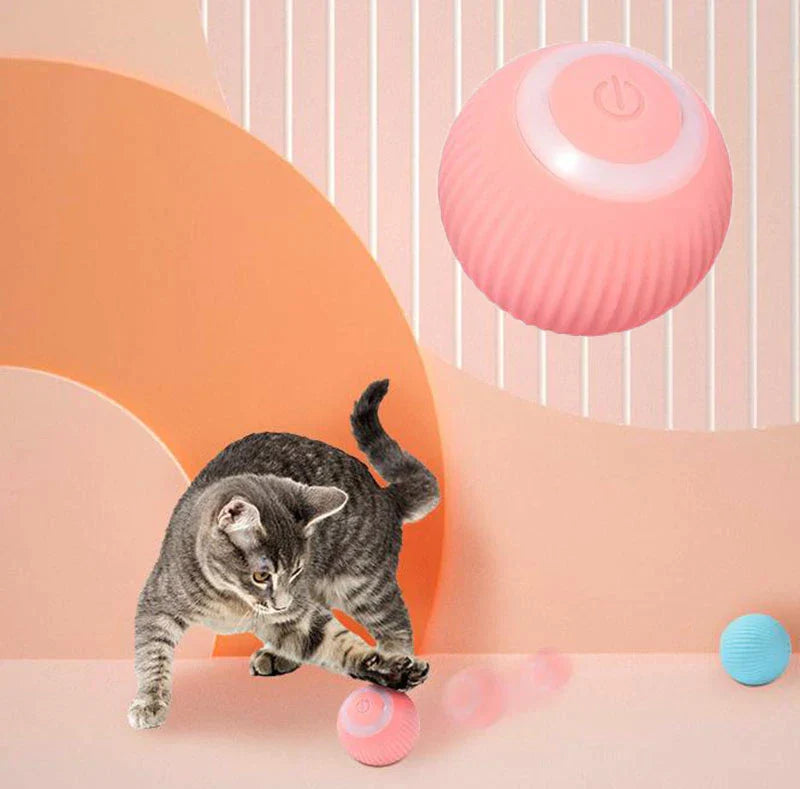 Interactive Ball For Cats