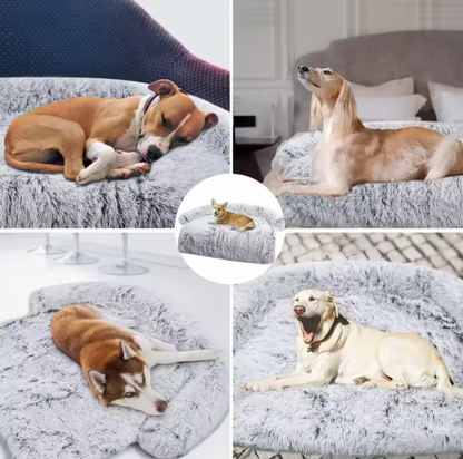 Portable Dog Bed